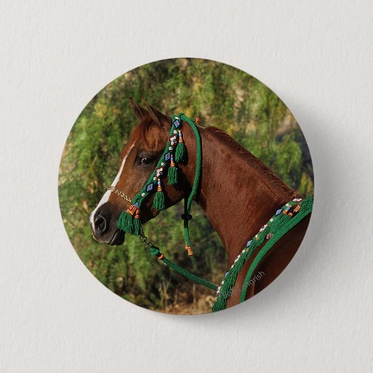 Arabischer PferdeHeadshot mit Zaum Button (Vorderseite)