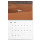 Arabischer Pferdekalender 2019 Kalender (Mär 2026)