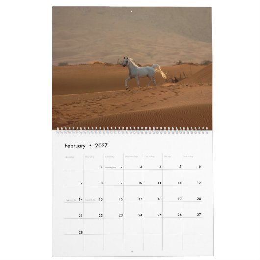 Arabischer Pferdekalender 2019 Kalender (Feb 2027)