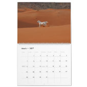 Arabischer Pferdekalender 2019 Kalender (Mär 2027)