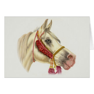 Arabischer Stallion