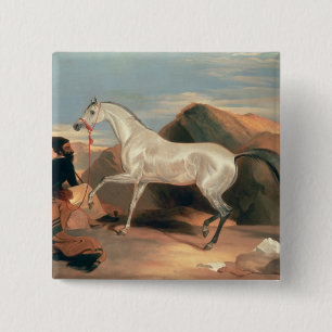 Arabischer Stallion Button