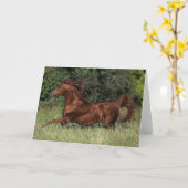 Arabischer Stallion, der in das Gras läuft Karte (Gelbe Blume)