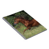 Arabischer Stallion, der in das Gras läuft Notizblock (Rechte Seite)
