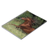 Arabischer Stallion, der in das Gras läuft Notizblock (Linke Seite)