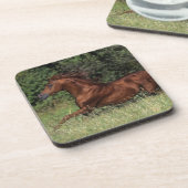 Arabischer Stallion, der in das Gras läuft Untersetzer (Linke Seite)