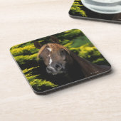 Arabischer Stallion Getränkeuntersetzer (Linke Seite)