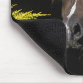 Arabischer Stallion Mousepad (Ecke)