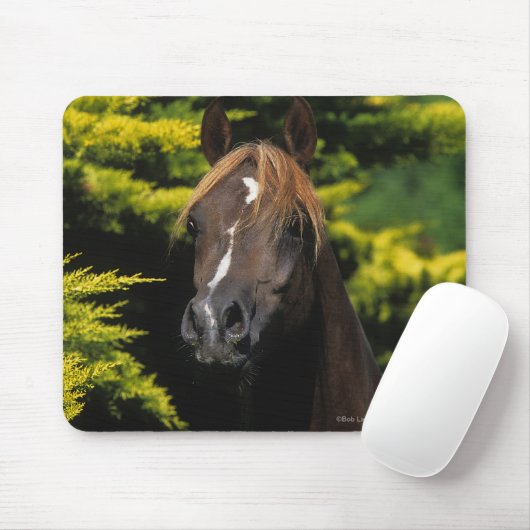 Arabischer Stallion Mousepad (Mit Mouse)