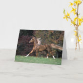 Arabischer Stalon, der Mist und Schwanz flammt Karte (Gelbe Blume)