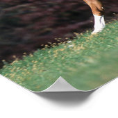 Arabischer Stalon, der Mist und Schwanz flammt Poster (Ecke)