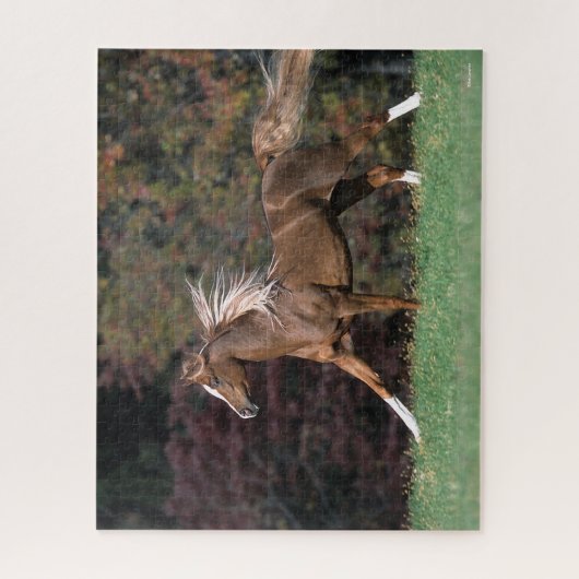 Arabischer Stalon, der Mist und Schwanz flammt Puzzle (Vertikal)