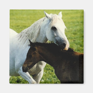 Arabischer Stuten- und Fohlenmagnet Magnet