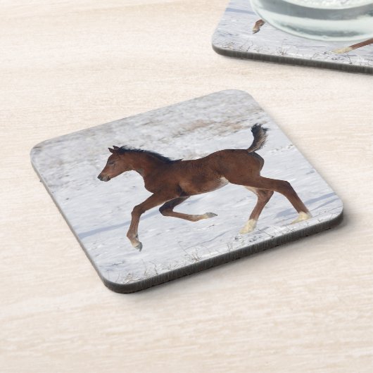 Arabisches Fohlen im Schnee Getränkeuntersetzer (Linke Seite)