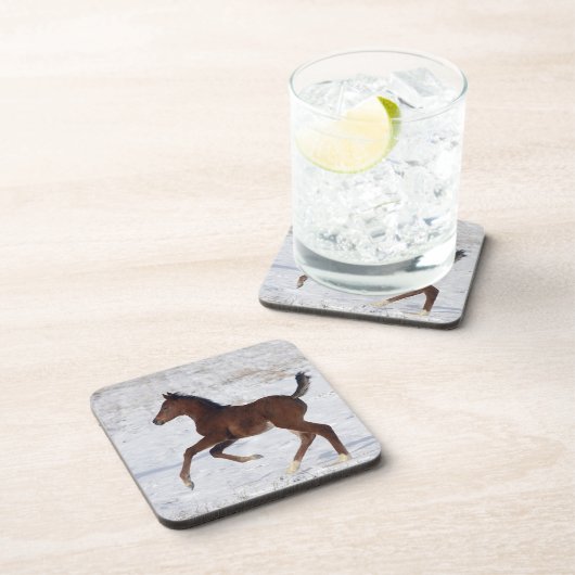 Arabisches Fohlen im Schnee Getränkeuntersetzer (Rechte Seite)