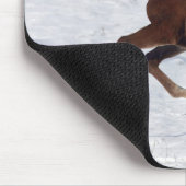 Arabisches Fohlen im Schnee Mousepad (Ecke)