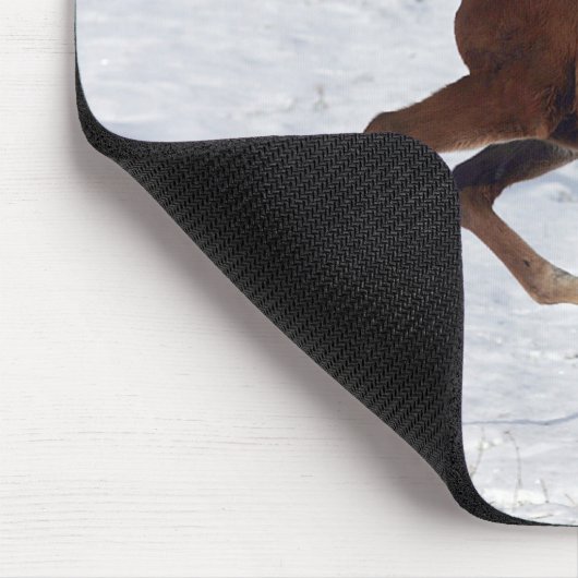 Arabisches Fohlen im Schnee Mousepad (Ecke)