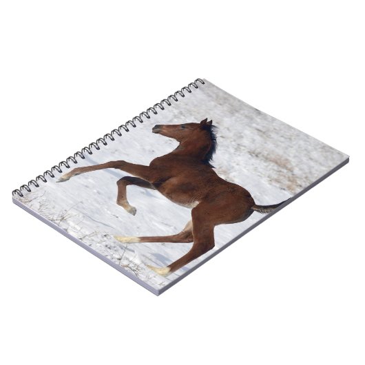 Arabisches Fohlen im Schnee Notizblock (Linke Seite)