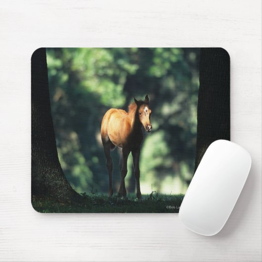 Arabisches Fohlen in den Bäumen Mousepad (Mit Mouse)