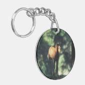 Arabisches Fohlen in den Bäumen Schlüsselanhänger (Vorderseite links)