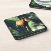 Arabisches Fohlen in den Bäumen Untersetzer (Linke Seite)