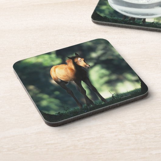 Arabisches Fohlen in den Bäumen Untersetzer (Linke Seite)