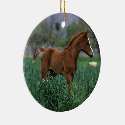 Arabisches Fohlen stehend Keramik Ornament (Rechts)