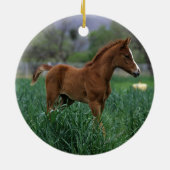 Arabisches Fohlen stehend Keramik Ornament (Hinten)