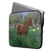 Arabisches Fohlen stehend Laptopschutzhülle (Vorderseite Links)