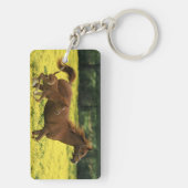 Arabisches Fohlen und Stute, die durch läuft Schlüsselanhänger (Rückseite)