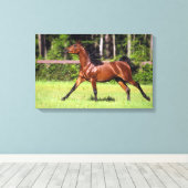 Arabisches Pferd 2 Leinwanddruck (Insitu (Holzboden))