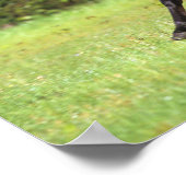 Arabisches Pferd 2 Poster (Ecke)