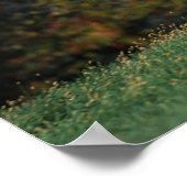 Arabisches Pferd auf Grassy Field Poster (Ecke)