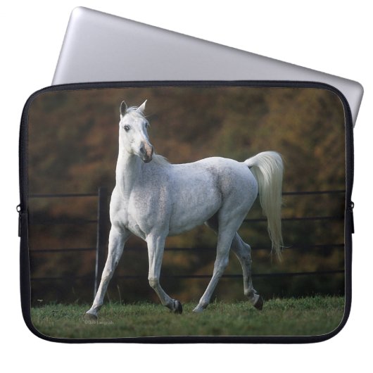 Arabisches Pferd, das 1 laufen lässt Laptopschutzhülle (Vorderseite)