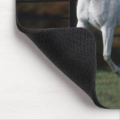 Arabisches Pferd, das 1 laufen lässt Mousepad (Ecke)