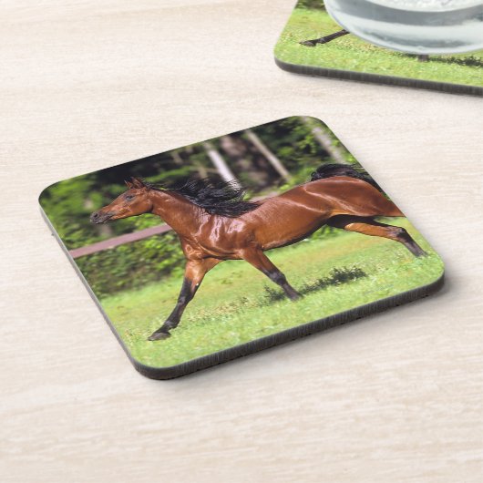 Arabisches Pferd, das 2 laufen lässt Untersetzer (Linke Seite)