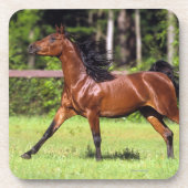 Arabisches Pferd, das 2 laufen lässt Untersetzer (Vorderseite)