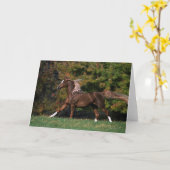 Arabisches Pferd, das in grasartiges Feld läuft Karte (Gelbe Blume)