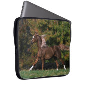 Arabisches Pferd, das in grasartiges Feld läuft Laptopschutzhülle (Vorne Rechts)
