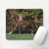 Arabisches Pferd, das in grasartiges Feld läuft Mousepad (Mit Mouse)