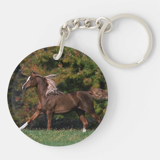 Arabisches Pferd, das in grasartiges Feld läuft Schlüsselanhänger (Rückseite)