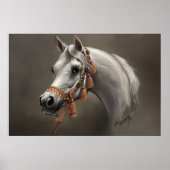 Arabisches Pferd Fine Art Poster (Vorne)
