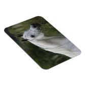 Arabisches Pferd - Headshot 1 Magnet (Rechte Seite)