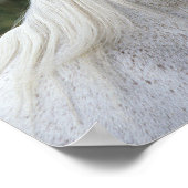 Arabisches Pferd - Headshot 1 Poster (Ecke)