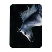 Arabisches Pferd - Headshot 2 Magnet (Vertikal)