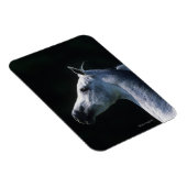 Arabisches Pferd - Headshot 2 Magnet (Rechte Seite)
