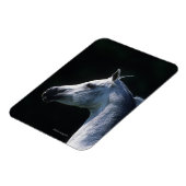 Arabisches Pferd - Headshot 2 Magnet (Linke Seite)