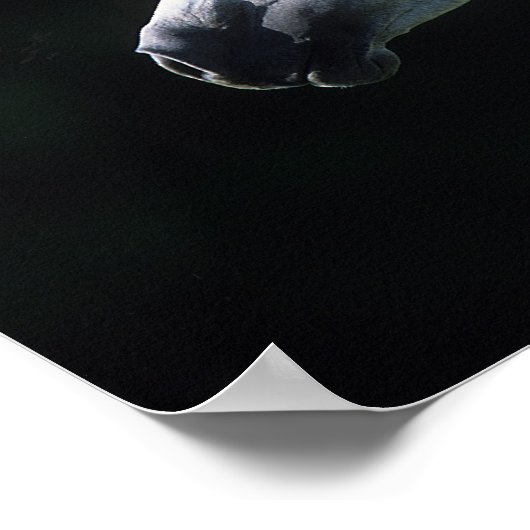 Arabisches Pferd - Headshot 2 Poster (Ecke)