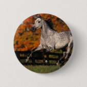 Arabisches Pferd: Herbst 1 Button (Vorderseite)