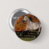 Arabisches Pferd: Herbst 1 Button (Vorne & Hinten)